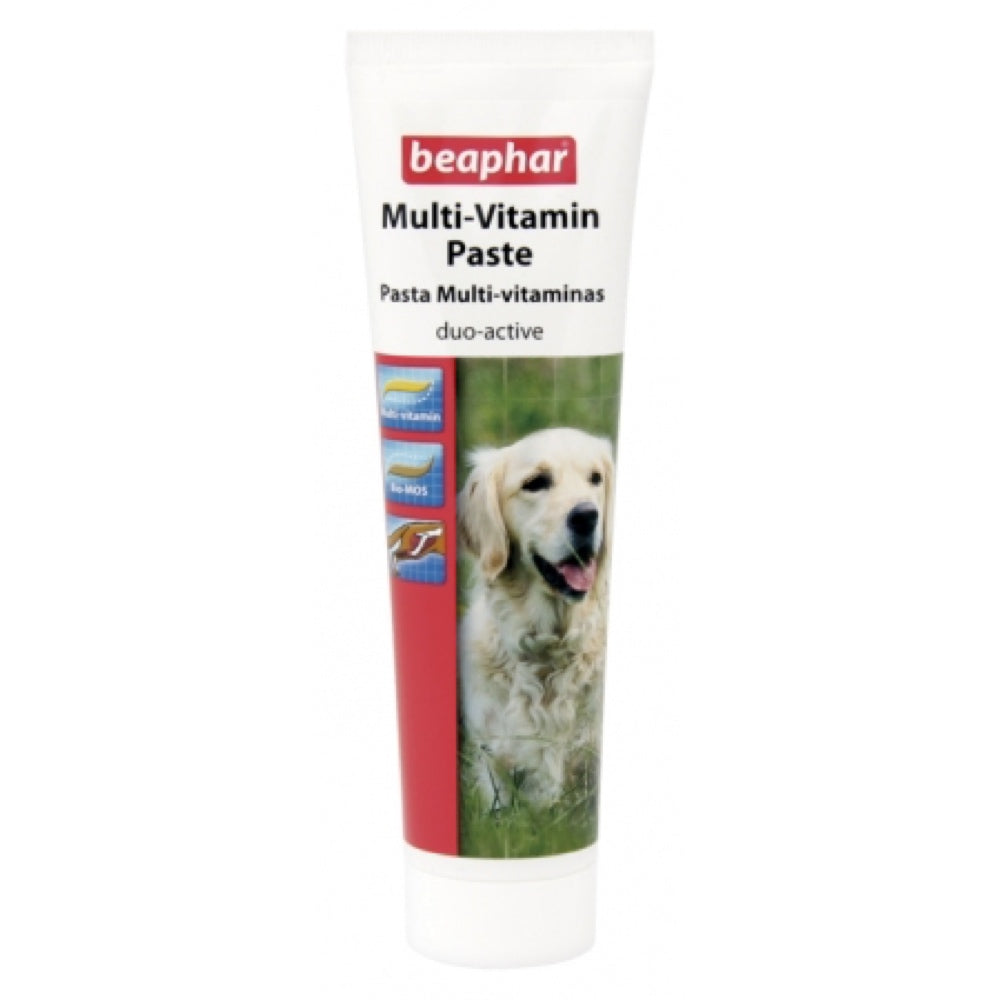 Beaphar Multi Vitamins Duo Active Paste For Dogs 100g