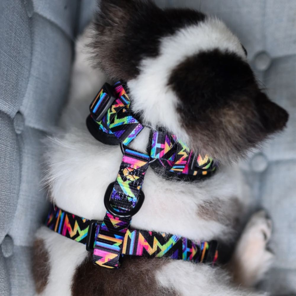 Boss & Olly Adjustable Dog Harness (Aztec Rainbow)