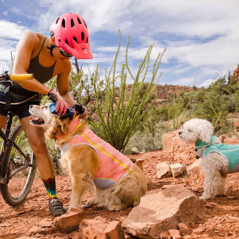Ruffwear Swamp Cooler Reversible Cooling Dog Neck Gaiter (Salmon Pink/Blue Mist)